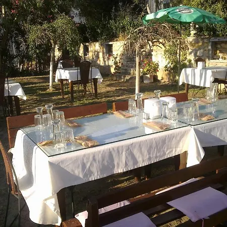 Papillon * Cesme