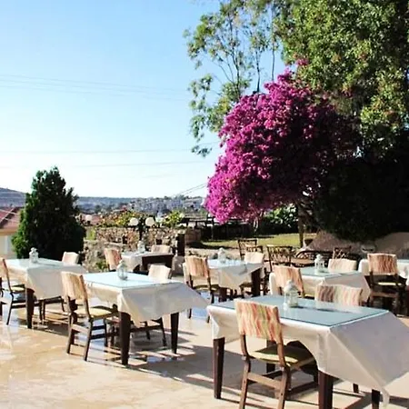 Papillon * Çeşme