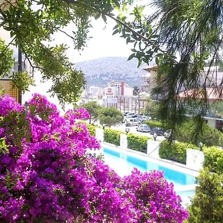 Hotel Papillon *